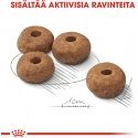 Royal Canin Sterile Medium dry food, 12 kg Royal Canin Sterile Medium dry food, 12 kg