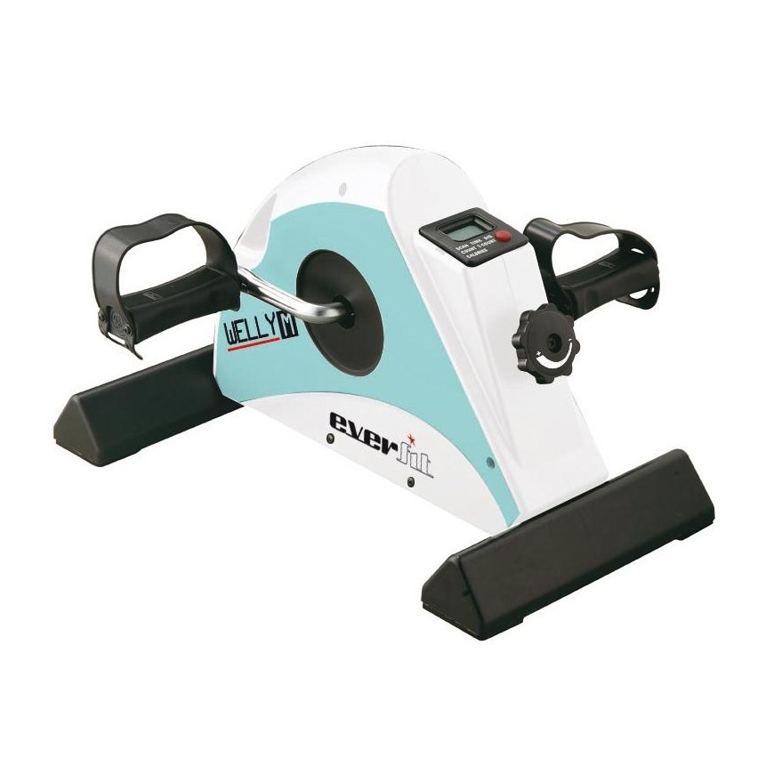 Exercise bike EVERFIT mini WELLY-M