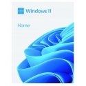 Microsoft Windows 11 Namų BOX USB PL