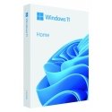 Microsoft Windows 11 Namų BOX USB PL