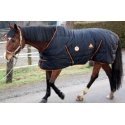 Fire Horse AJ14 ALPENHEAT Fire Horse AJ14 ALPENHEAT