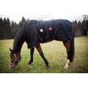Fire Horse AJ14 ALPENHEAT Fire Horse AJ14 ALPENHEAT