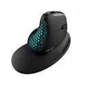 Wireless Ergonomic Mouse Delux M618XSD BT + 2.4G RGB