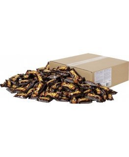 Nestle Lion Mini -irtomakeinen, 5 kg