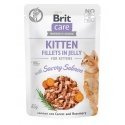 Brit Care Cat Files In Jelly Kitten Salmon Salmon 85g Brit Care Cat Files In Jelly Kitten Salmon Salmon 85g