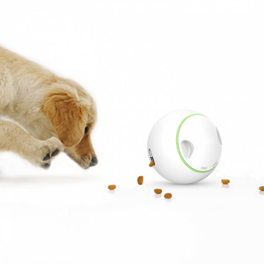 Auhinnakera Doggy Village MT7102 – 3