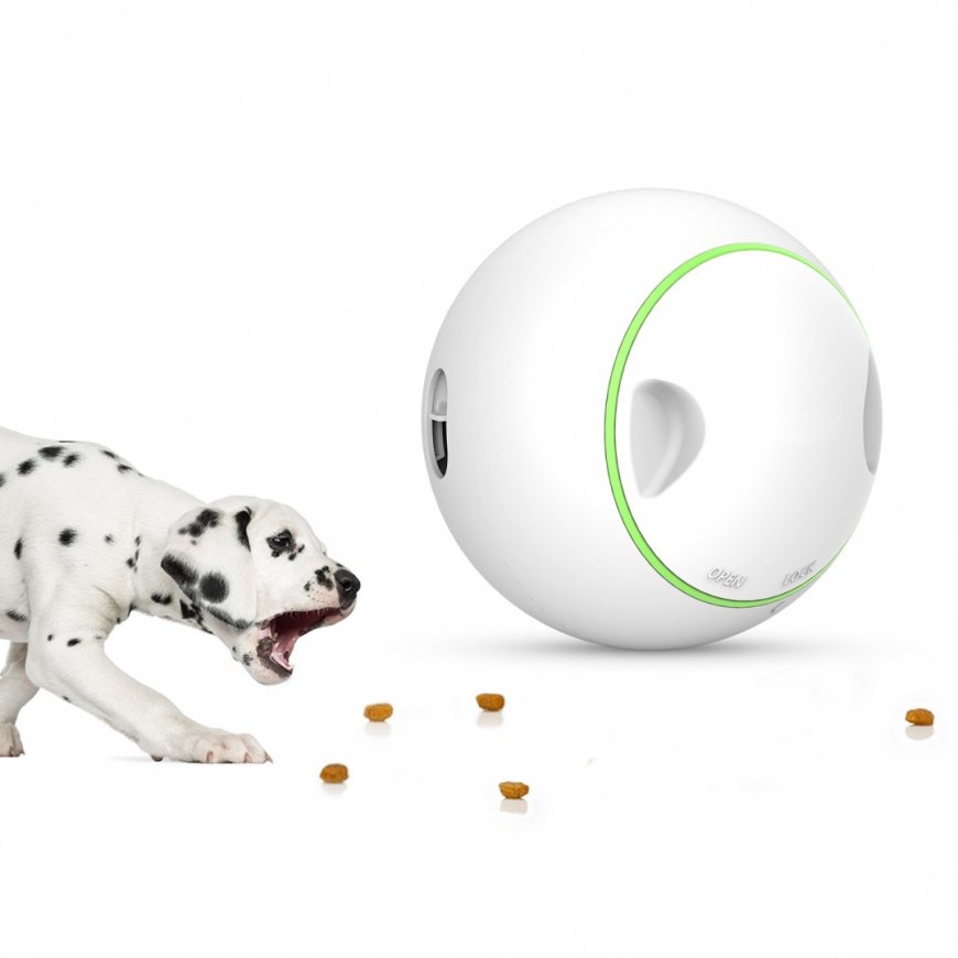 Auhinnakera Doggy Village MT7102 – 6
