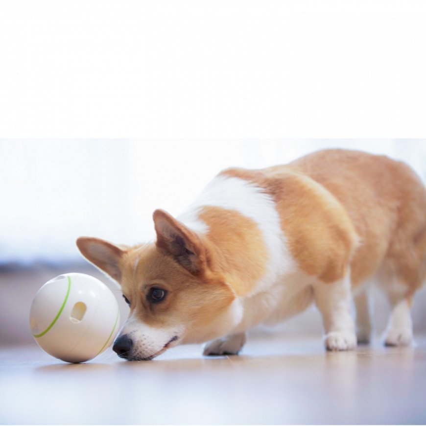 Doggy Village Prize ORB Judantis, interaktyvus kamuolys su Skanėstais vidutiniams ir dideliems šunims – 9