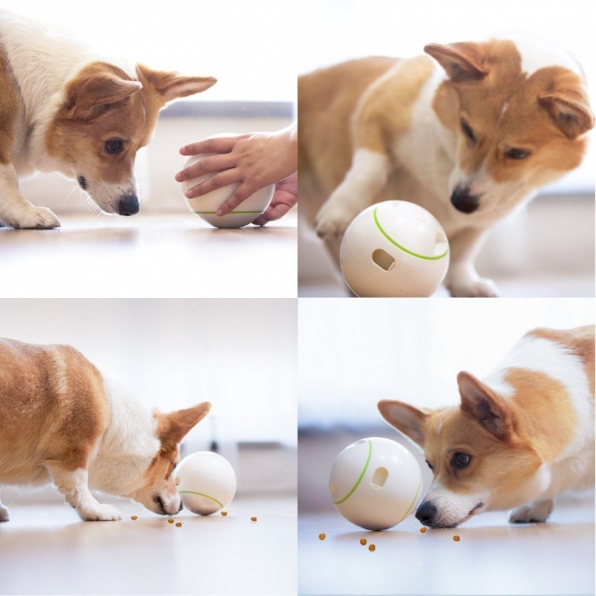 Doggy Village Prize ORB Judantis, interaktyvus kamuolys su Skanėstais vidutiniams ir dideliems šunims – 10