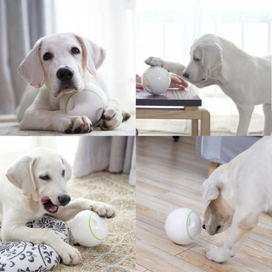 Auhinnakera Doggy Village MT7102 – 13