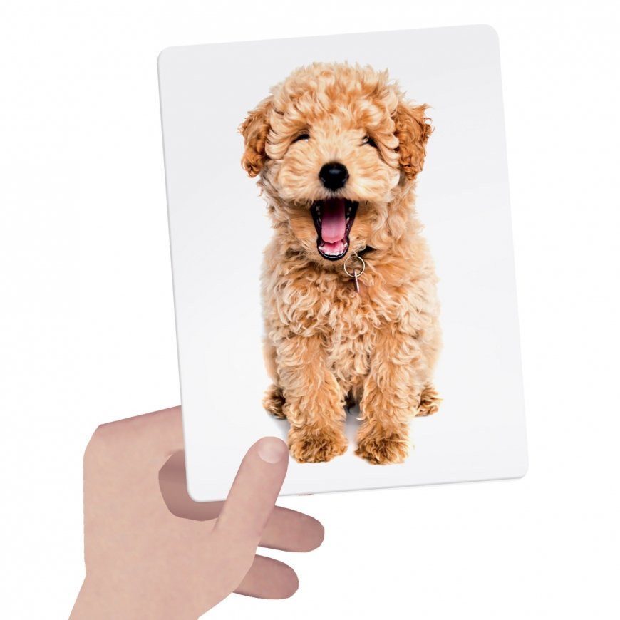 HEADU Montessori flashcards Tactile – 2