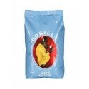 Joerges Gorilla Cafè Creme blue 1 Kg Coffee Beans Joerges Gorilla Cafè Creme blue 1 Kg Coffee Beans