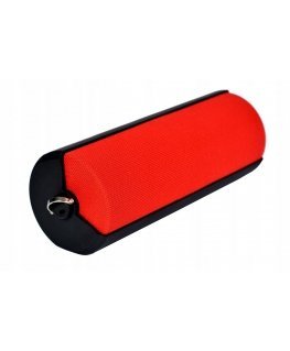 Toshiba Fab TY-WSP70 red