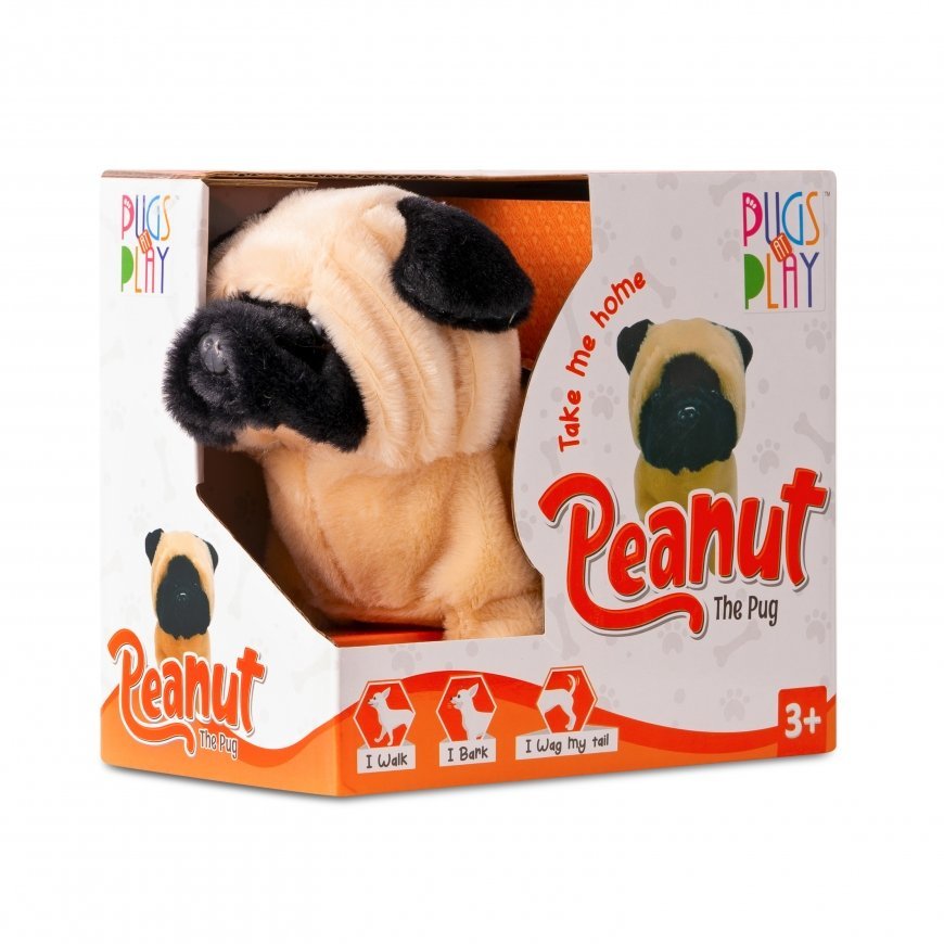 PUGS AT PLAY PUGS AT PLAY