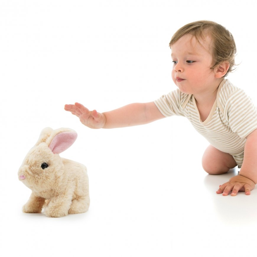 PUGS AT PLAY Cookie Jumping Rabbit – 4
