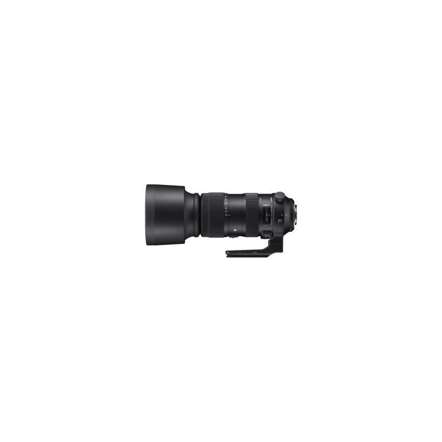 Sigma Lens Sigma 150-600mm F5.0-6