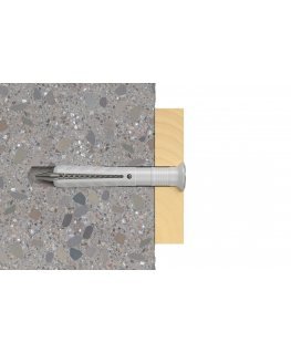 Fischer 48789 Sraigtinis inkaras ir (arba) sieninis kaištis 100 vnt Sraigtinių ir sieninių kištukų rinkinys 60 mm