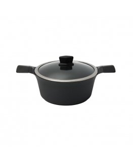 Induction pot with lid Zyle ZY3020PT