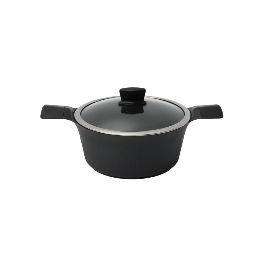 ZYLE Induction pot with lid Zyle
