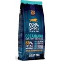 Alpha Spirit PRIMAL Wilderness Adult Dog wet food for dogs 12kg