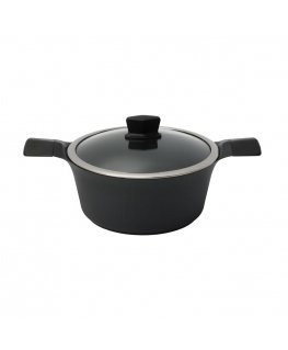 Induction pot with lid Zyle ZY3024PT