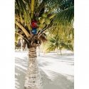 ENO DOUBLENEST, Ruby / Red