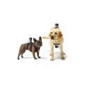 GoPro Fetch Support System - Dog Harness ADOGM-001
