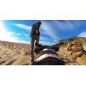 GoPro Fetch Support System - Dog Harness ADOGM-001