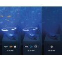 Zazu Otto the Otter Projector Night Light