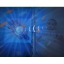 Zazu Otto the Otter Projector Night Light