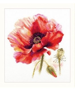 Beldizart Bright red poppy S2-46