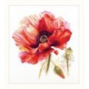Beldizart Bright red poppy S2-46 Beldizart Bright red poppy S2-46