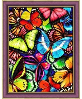 Beldizart Bright butterflies 30x40 cm AZ-1725