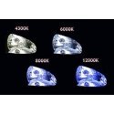 Amio 01848 Set 1103 H8 H9 H11 6000K Amio 01848 Set 1103 H8 H9 H11 6000K