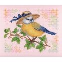 Beldizart (Discontinued) Robin SNV-646