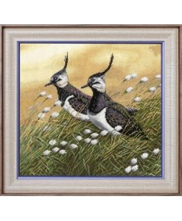 Beldizart Lapwings S/Z058