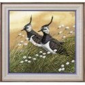 Beldizart Lapwings S/Z058