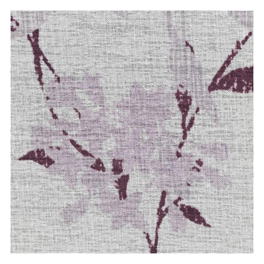 Eurofirany FIR / FIONA / B + FIOL 140X250 TRANS – 5