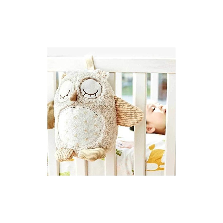 Cloud B Owl su judesio jutikliu (CB0027) – 2