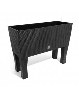 Prosperplast Flower pot with insert Rato Case High DRTC600H anthracite