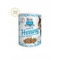 BRIT Care Cat Snack Superfruits Siļķe - kaķu cienasts - 100 g BRIT Care Cat Snack Superfruits Siļķe - kaķu cienasts - 100 g