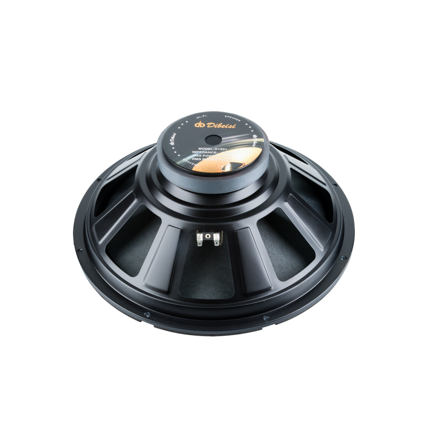 Dibeisi 15 inch DBS-G1501 8 ohm speaker – 2