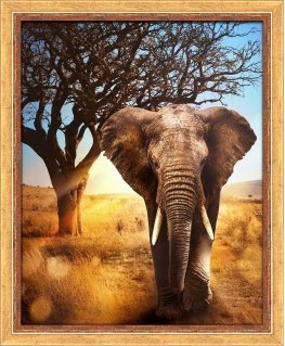 Beldizart African elephant 40x50 cm AZ-1783