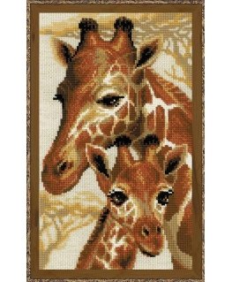 Uab 039039Riolis039039 Giraffes SR1697