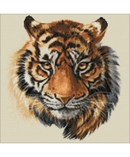 Beldizart Wild Predator 38*38 cm WD2515