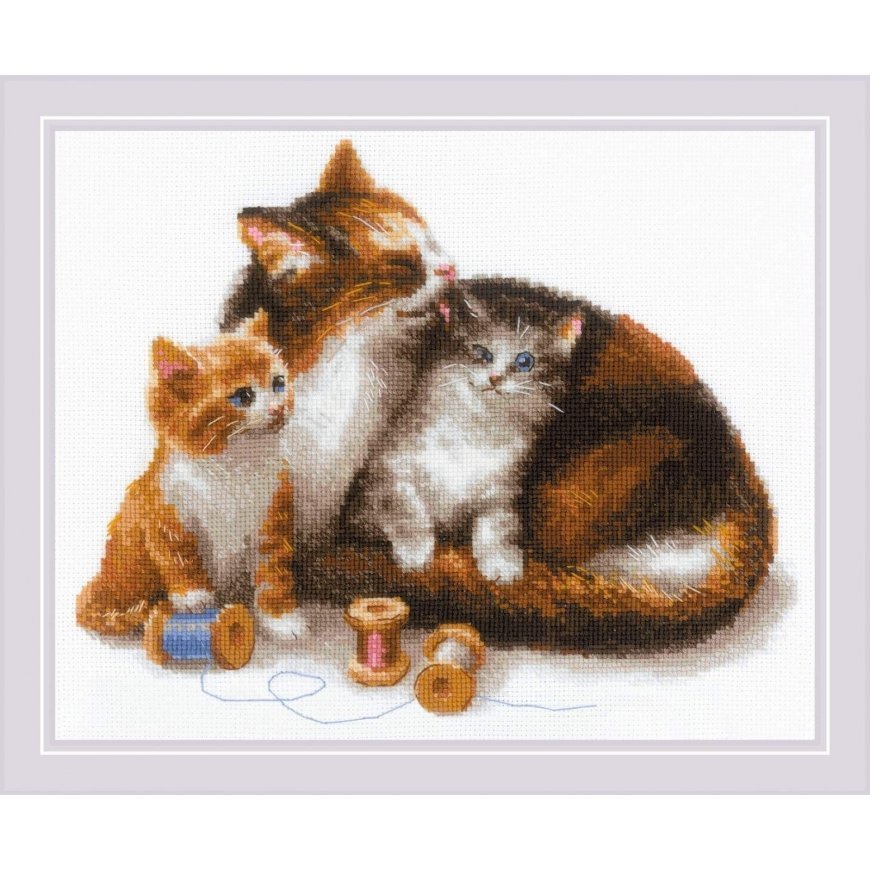 Uab 039039Riolis039039 Uab 039039Riolis039039 Cat with