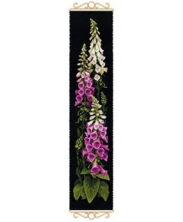 Uab 039039Riolis039039 Fox gloves 1629 m