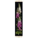 Uab 039039Riolis039039 Fox gloves 1629 m Uab 039039Riolis039039 Fox gloves 1629 m