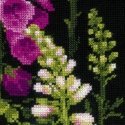 Uab 039039Riolis039039 Fox gloves 1629 m Uab 039039Riolis039039 Fox gloves 1629 m