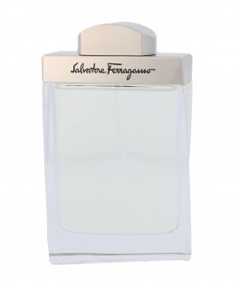 Salvatore Ferragamo For Men EDT 100ml